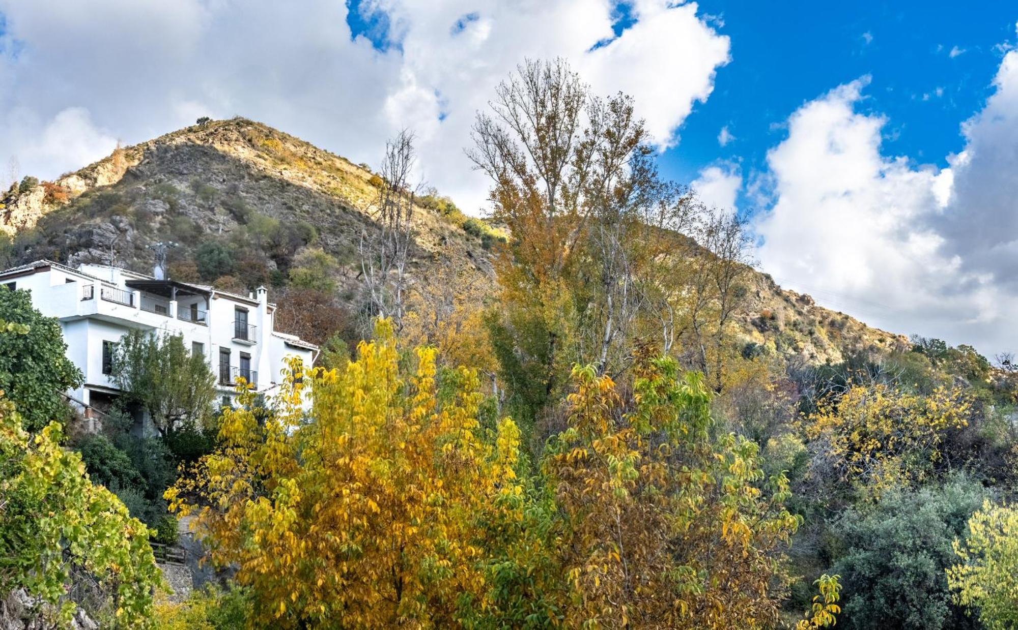 Casa Rural Arroyo De La Greda Guejar Sierra Exterior foto